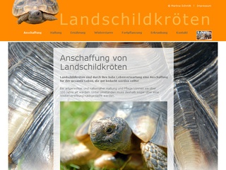 Landschildkröten in Rhein-Main halten – vom Züchter aus Hessen kaufen.